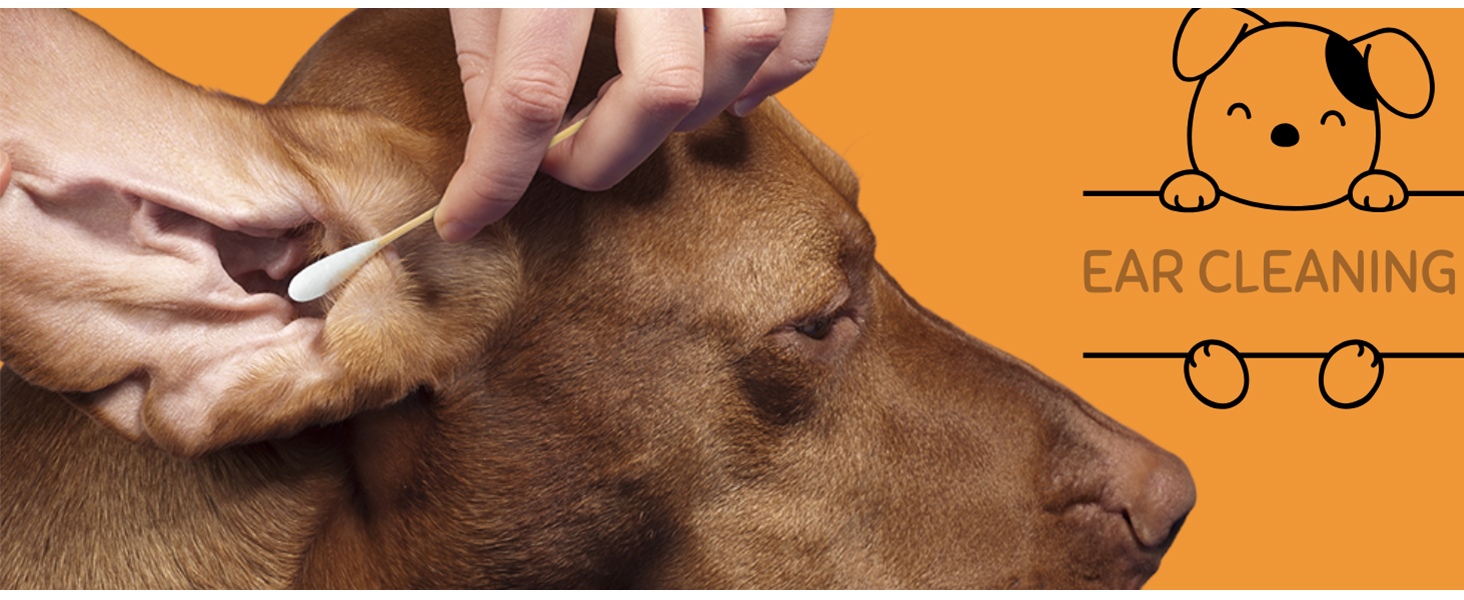 dog qtips