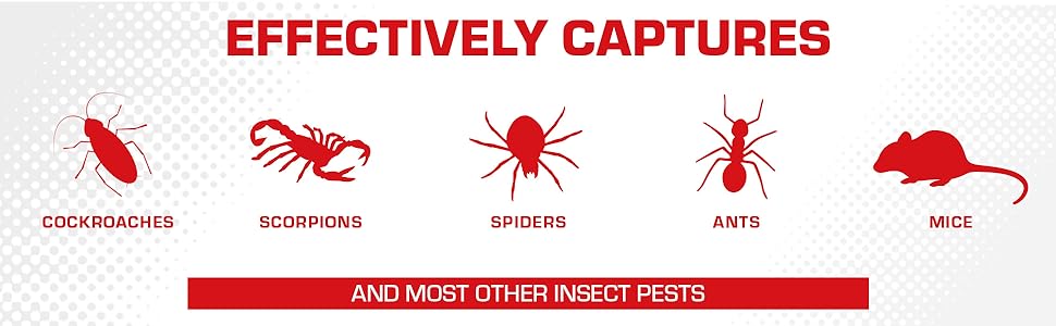 Effectively Captures Cockroaches, Scorpions, Spiders, Ants, Mice and Most Other Insect Pests
