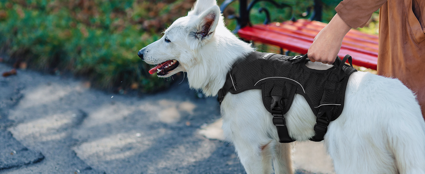 dog harness