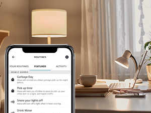 Schedule and Routines