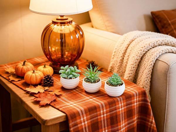 Warm Autumn Styling