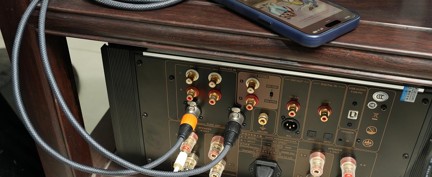 USB C TO XLR male