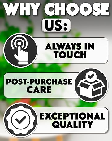 plant climbers for indoor plants wall plant hook money plant support indoor stem holders for plants