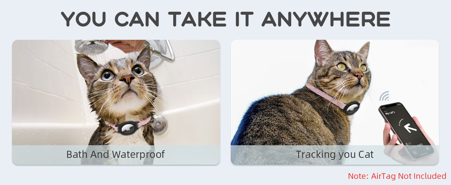 Cat Tracker