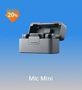 mic mini