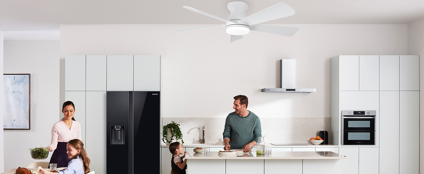ceiling fan for kitchen