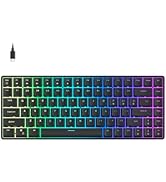 FOXXRAY HKM-S93 Wired Mechanical Gaming Keyboard, Compact 75% Small Size Keyboard for PC, 84 Keys...