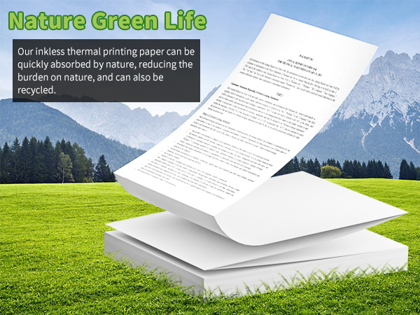 Thermal Receipt Paper
