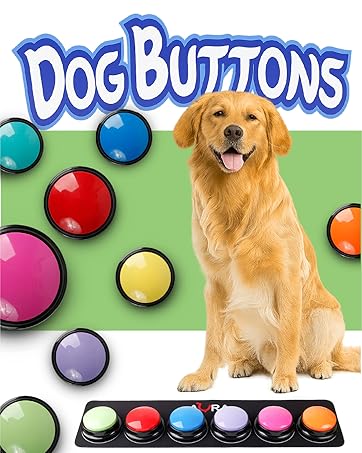 Dog button for communication speach talk