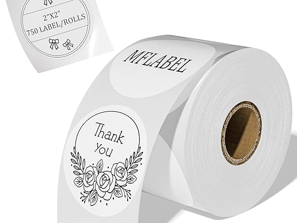 https://m.media-amazon.com/images/S/aplus-media-library-service-media/cb96eef9-6b6a-4ded-a755-31db1156a132.__CR0,200,1600,1200_PT0_SX600_V1___.jpg