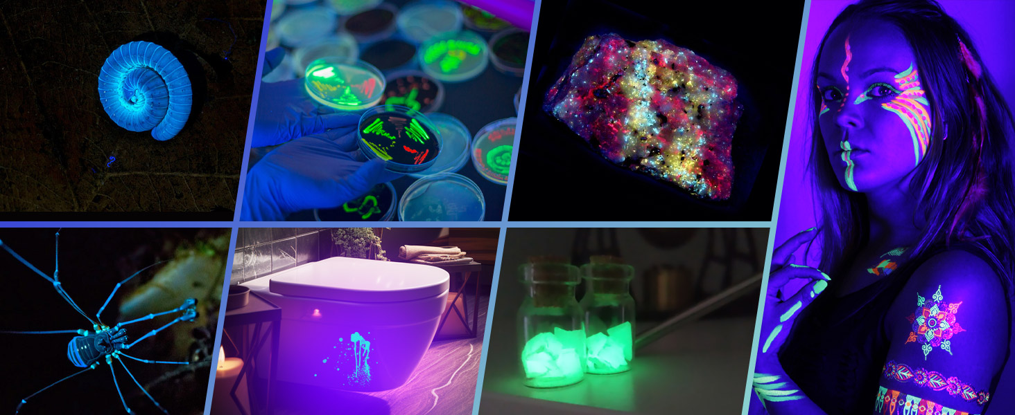 uv flashlight rechargeable