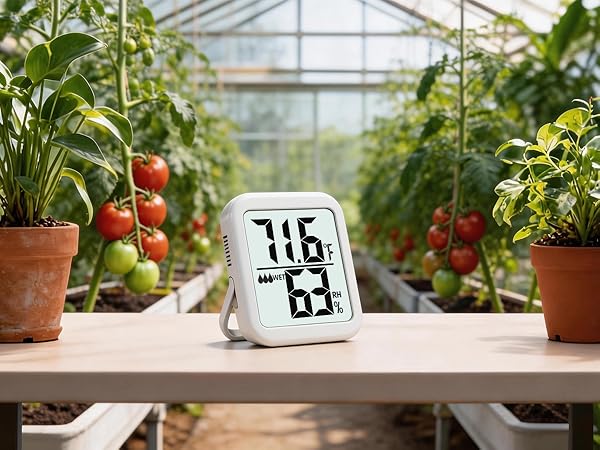 indoor thermometer