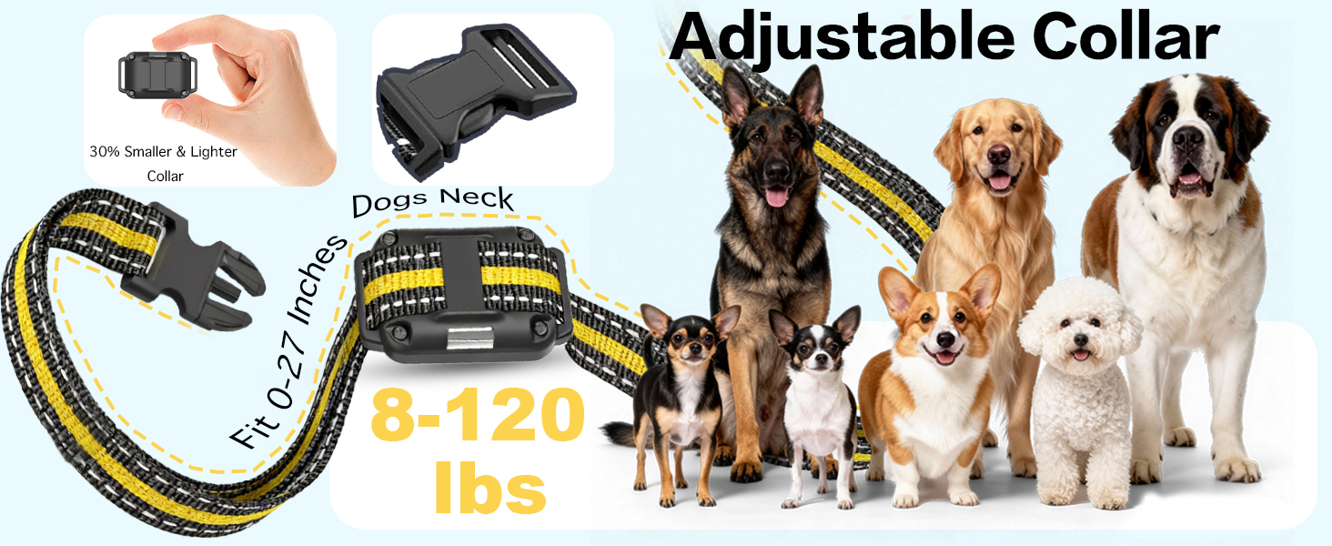 training collar with remote