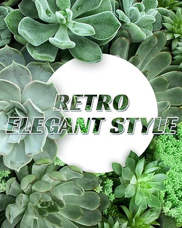 fake succulent plants