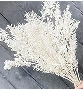 15 Pieces Dried White Italian Ruscus Eucalyptus - Real Preserved Ruscus Stem Branches, Real White...