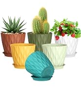 Meowell 5 inch Plant Pots for Indoor Outdoor Plants, 6 Pack Thick Nursery Pots with Drainage Hole...