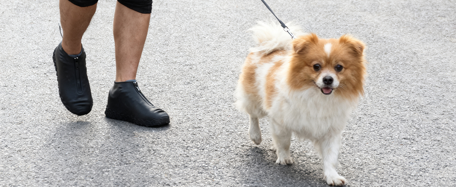Walking the dog