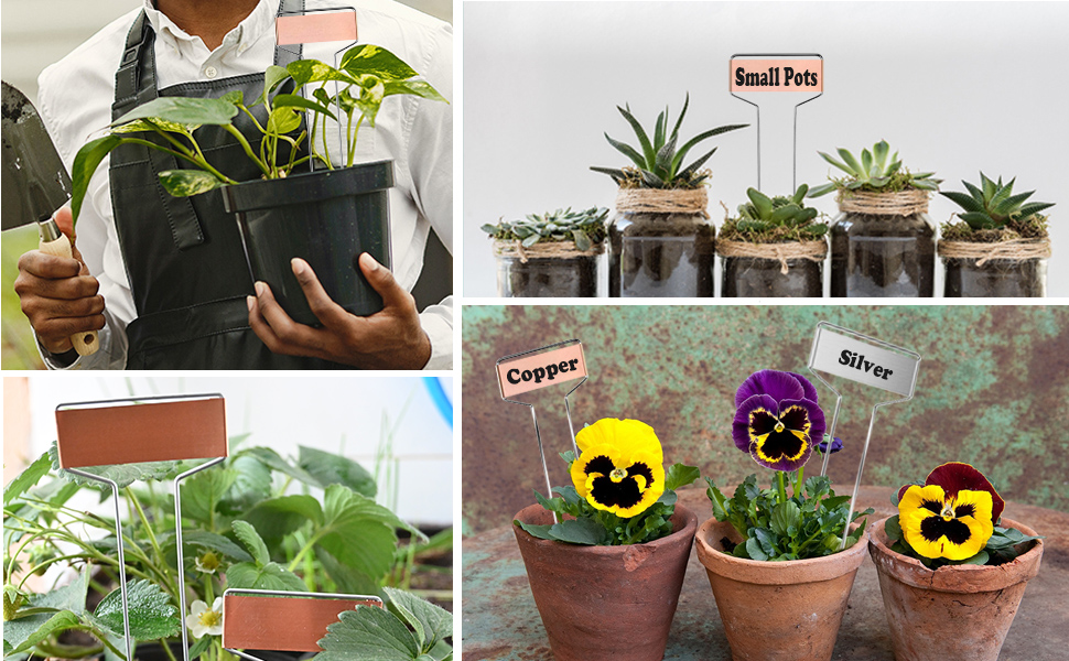 plant labels