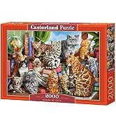 Castorland Puzzle 2000 Pieces, House of Cats, C-200726