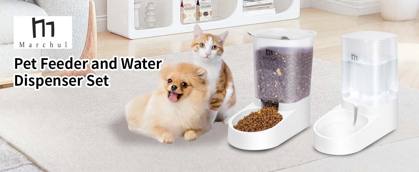 cat feeder