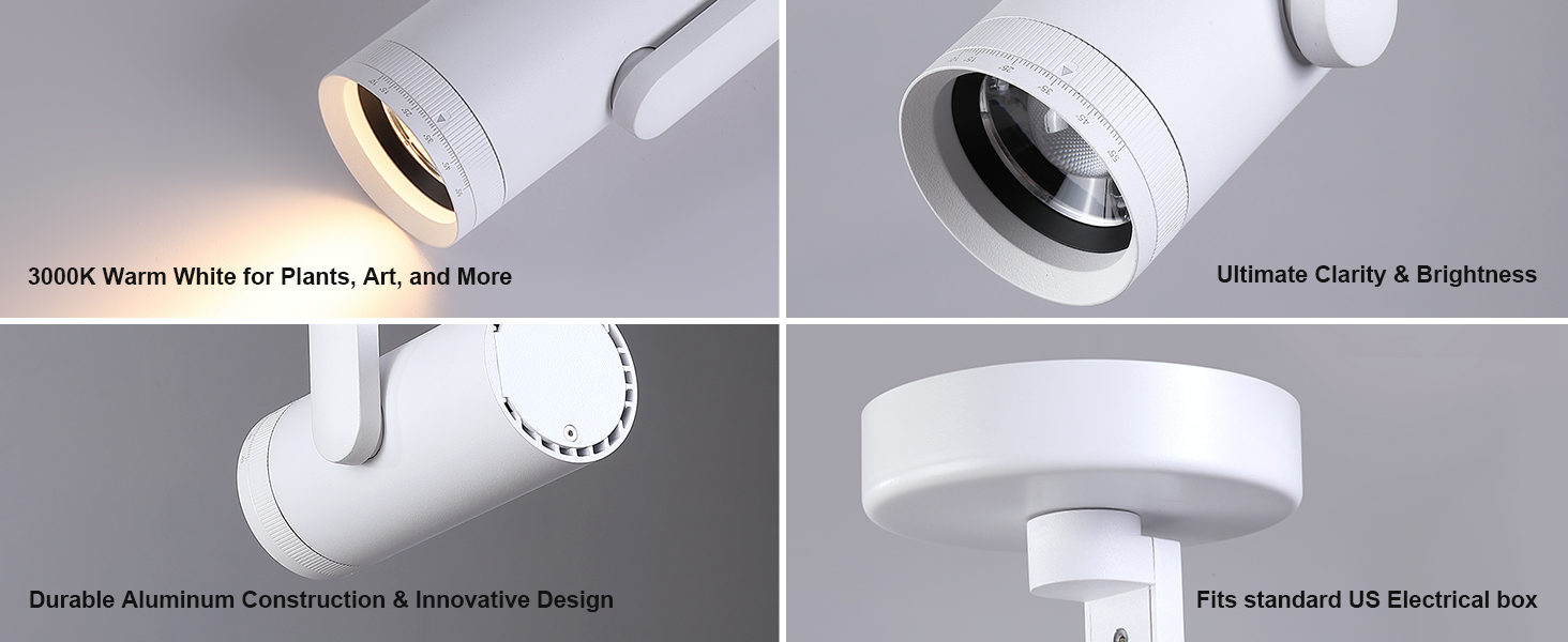 Product Details Display