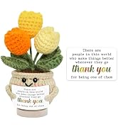 MXCOIRTP Emotional Support Tulip, Handmade Positive Tulips Flower Crochet with Gratitude Card for...