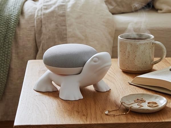 google home stand