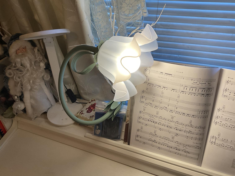 clip on lamp