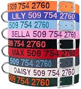 GoTags Personalized Dog Collar with Buckle, Custom Embroidered with Pet Name and Phone Number in ...