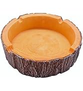 Outdoor Ash Tray, Cool Ashtrays for Cigarettes, Fantasy Ashtray Decor for Home Office, Smoking Gi...