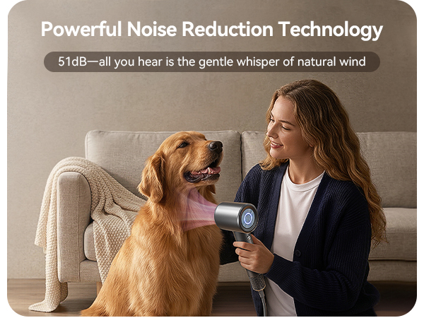 diffuser hair dryer