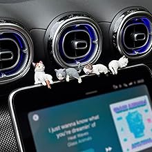 car decor