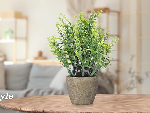4 potted green plants