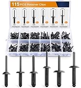 GOOACC 115 Pcs Automotive Nylon Universal Pop Rivet Assortment - 6 Most Popular Sizes & Applicati...
