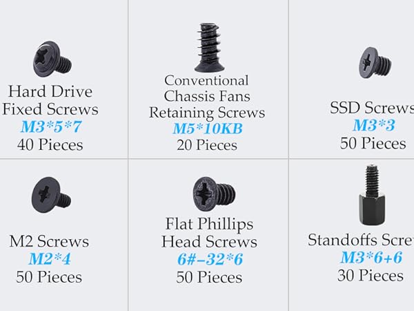 Computer Screws