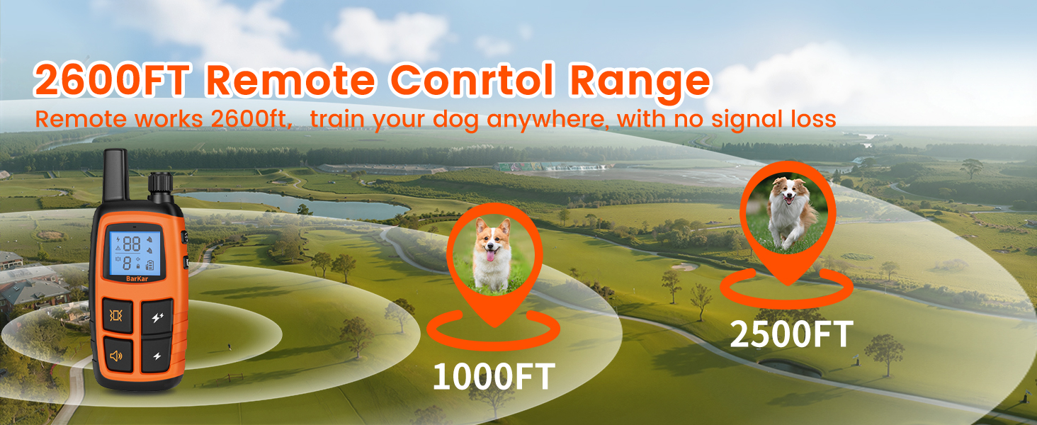 Collar for Dogs