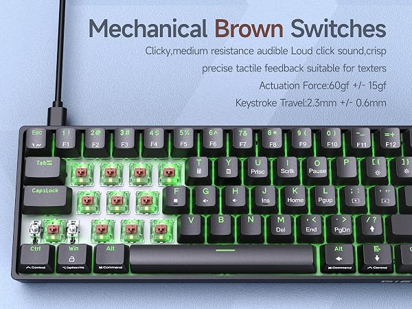 DK61SE- brown Switch