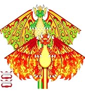YongnKids Kite, 2 Pack Kites for Kids Ages 4-8 8-12 & Adults, Easy to Fly Kite for Beginner, Grea...