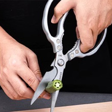Cutting vegetable