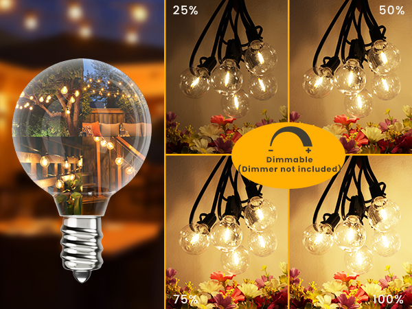 G40 LED bulb for outdoor string lights