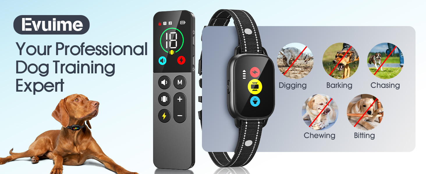 dog training collar