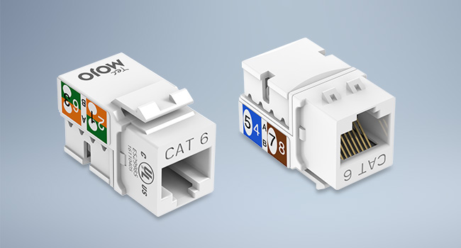 Cat6