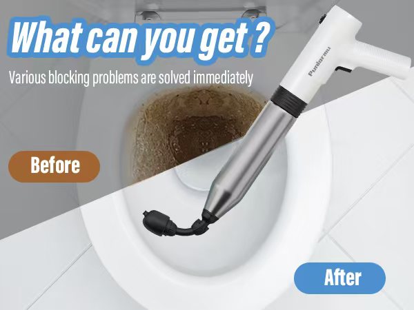 Toilet Plunger