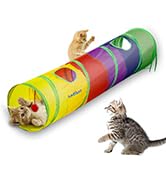 Cat Tunnel