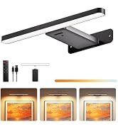 RIRIBEN Picture Light for Wall, 10000mAh Rechargeable Detachable Battery | 400LM LED Light, 3 Col...