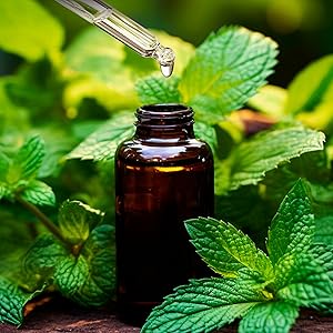peppermint tincture