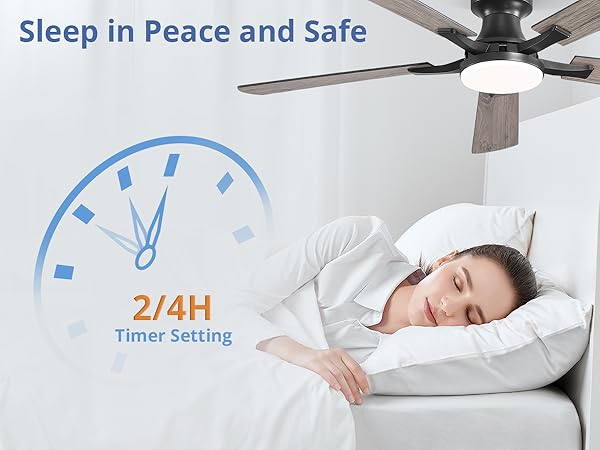 ceiling fan