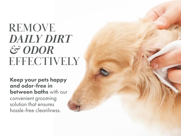 Remove Daily Dirt & Odor Effectively
