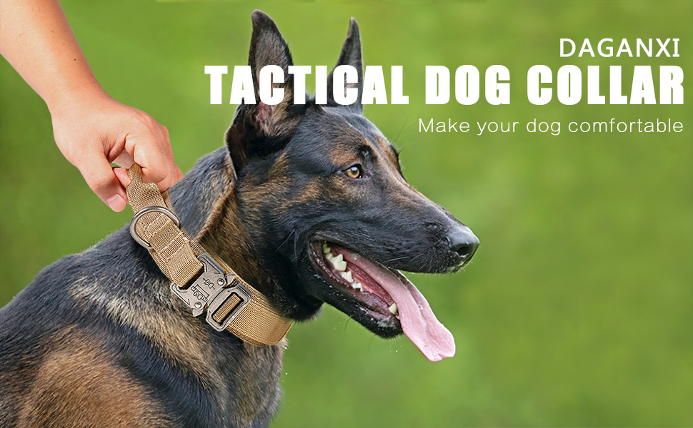 TACTICAL DOG COLLAR