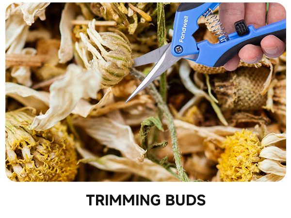 trimming scissors stainless